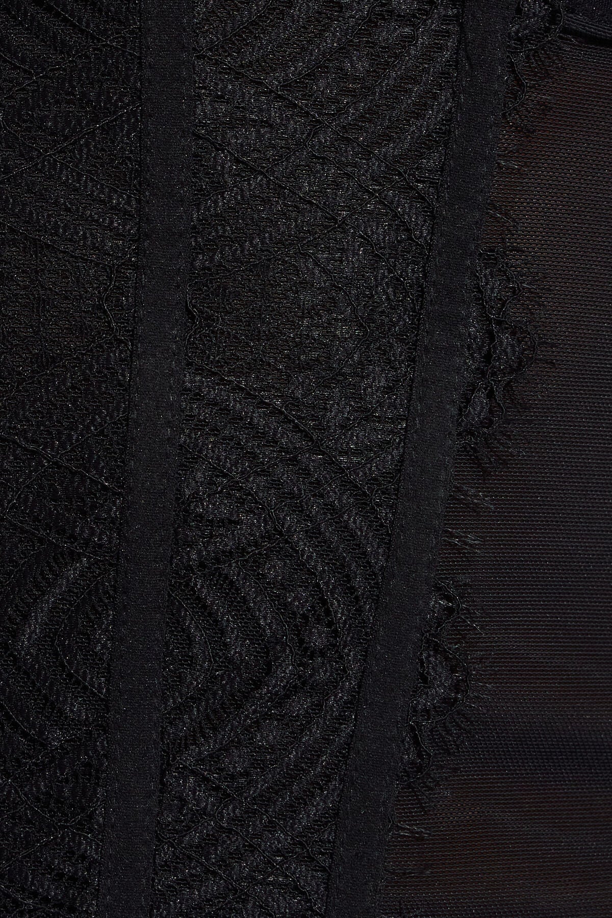 Chrishell Lace Mesh Bustier Black Garage Clothing Women