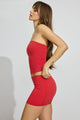 Tomato Puree Red