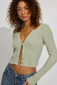 Desert Sage Green