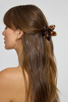 Translucent Brown
