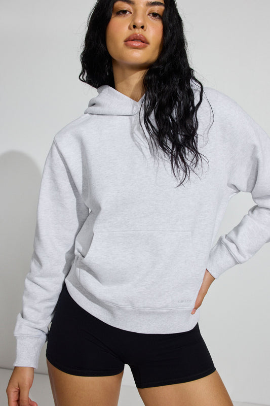 SoftTerry Iconic Hoodie Gray Garage Clothing Women